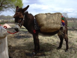 Burro Packing