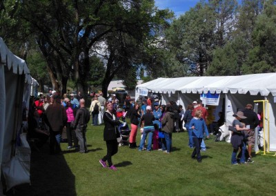 1010719_383393305133546_1421601821689412017_n