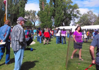 10169375_383392698466940_5357385943693237343_n